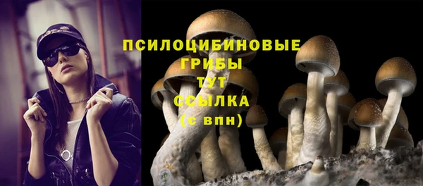 не бодяженный Аркадак