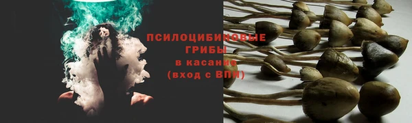 не бодяженный Аркадак