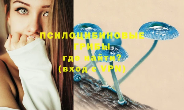 не бодяженный Аркадак