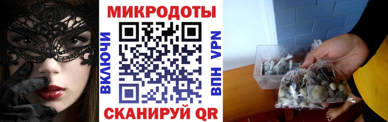 наркошоп  Павловский Посад  Псилоцибиновые грибы Psilocybe 